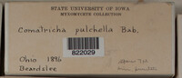 Image Associated With the Occurence